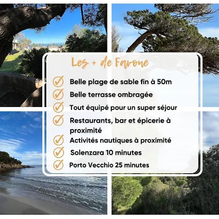 Apartment, Favone, Corse Du Sud, 50m Apartment